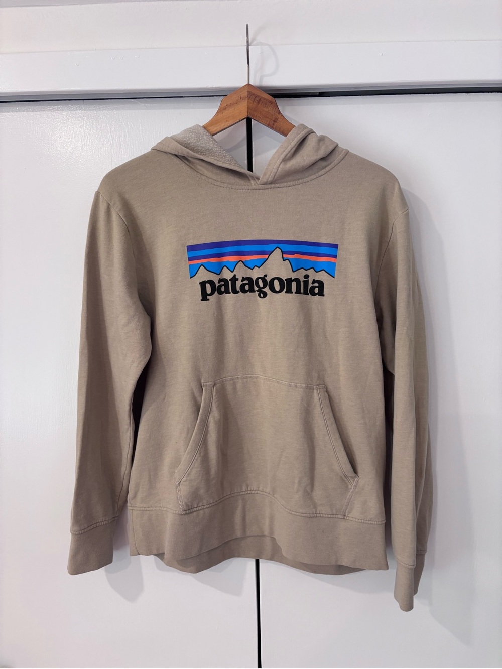 Patagonia Hoodie